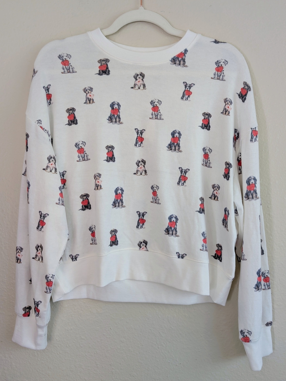 Z Supply Puppy Love Dog Print Sweatshirt in White Size XS NWT